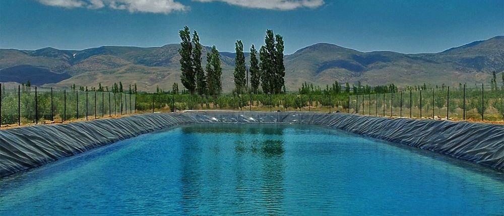 همه چیز درباره ژئوممبران